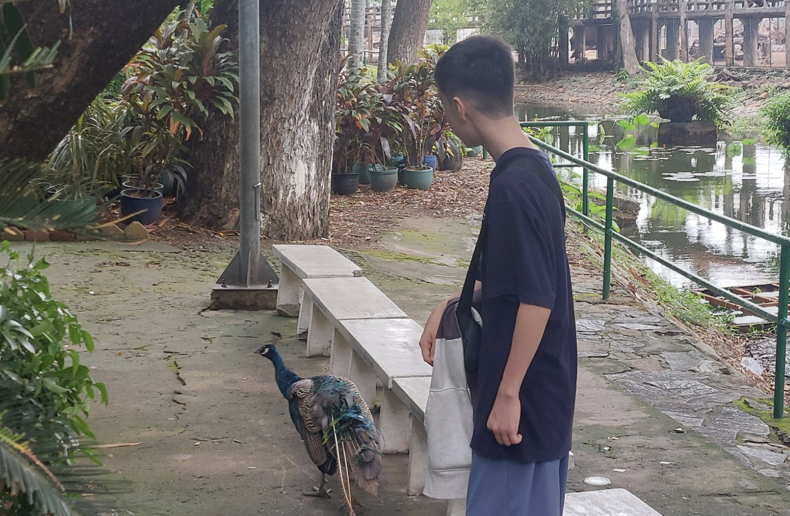 Miles at Saigon Zoo and Botanical Gardens